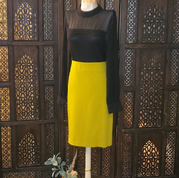 Marigold pencil skirt NWOT Sz12 - Picture 6 of 11